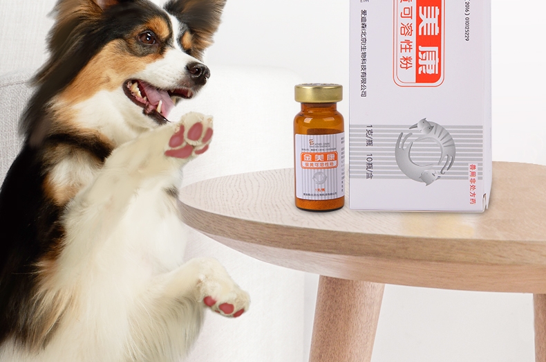 爱迪森 猫狗宠物金美康(银黄可溶性粉)1g*10瓶
