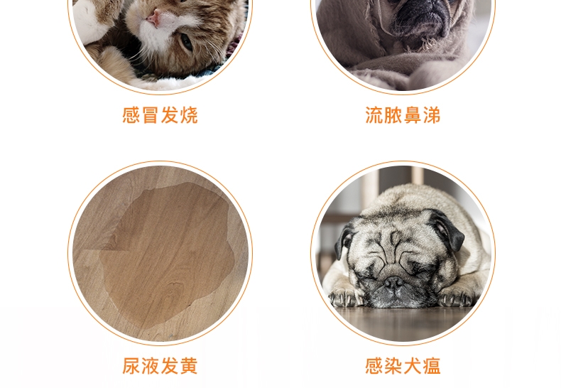 爱迪森 猫狗宠物金美康(银黄可溶性粉)1g*10瓶