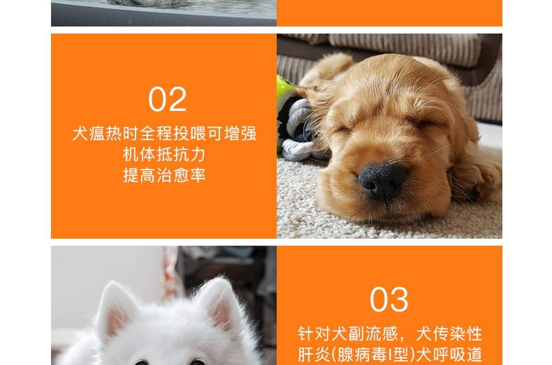 爱迪森 猫狗宠物金美康(银黄可溶性粉)1g*10瓶