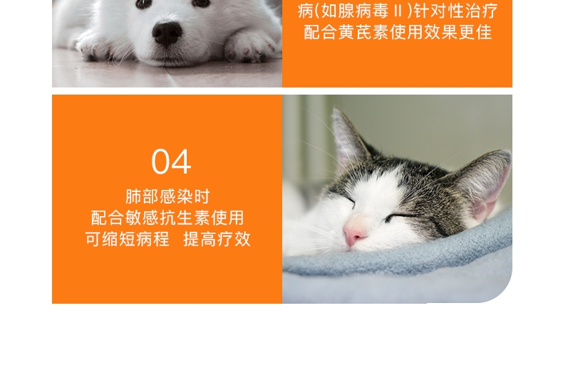 爱迪森 猫狗宠物金美康(银黄可溶性粉)1g*10瓶