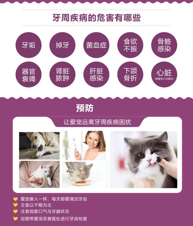 Proden博乐丹 猫用牙洁粉20g