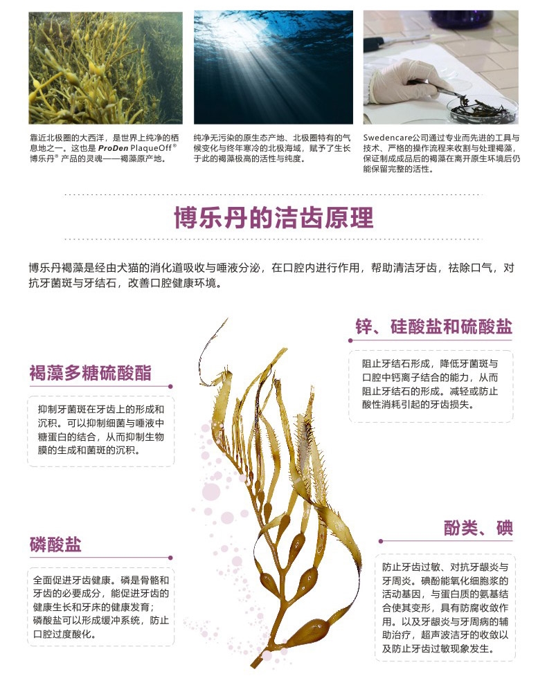 Proden博乐丹 猫用牙洁粉20g