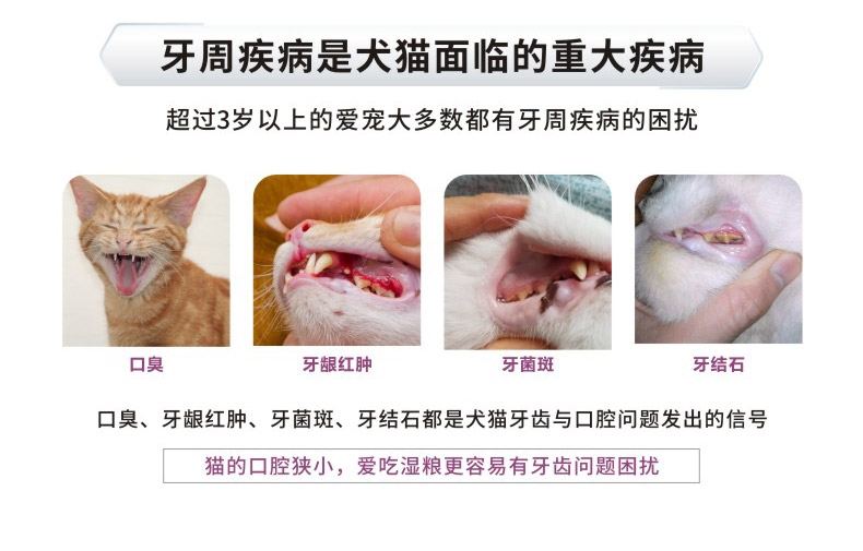 博乐丹Proden 猫用牙洁粉 20g 瑞典进口