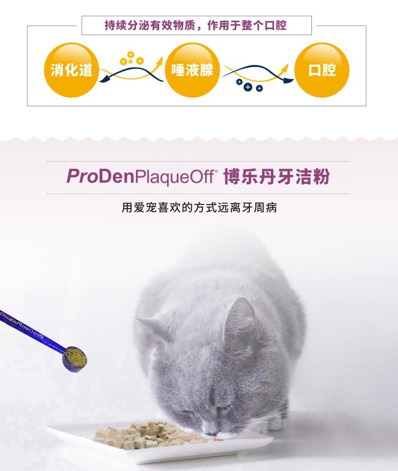 博乐丹Proden 猫用牙洁粉 20g 瑞典进口