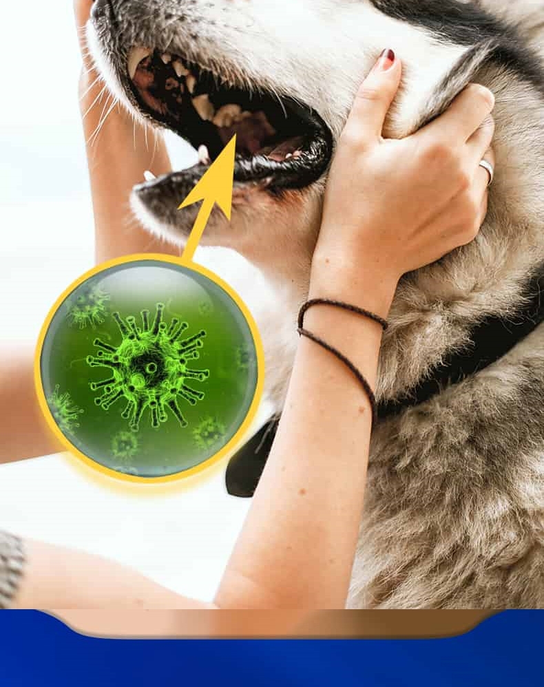 博乐丹Proden 猫用牙洁粉 20g 瑞典进口