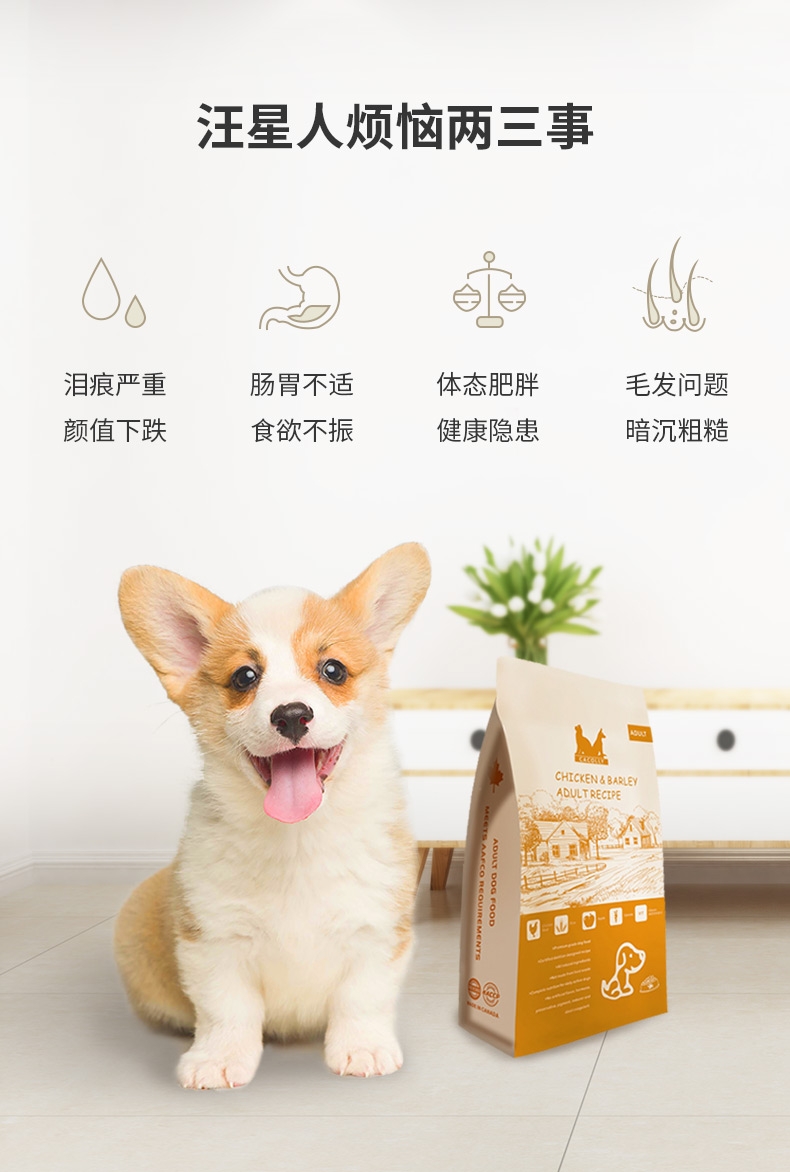奥可丽Cacolly 鸡肉大麦成犬粮 1.81KG 加拿大原装进口【保质期2019年7月】