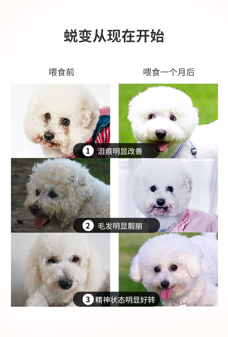 奥可丽Cacolly 鸡肉大麦成犬粮 1.81KG 加拿大原装进口【保质期2019年7月】