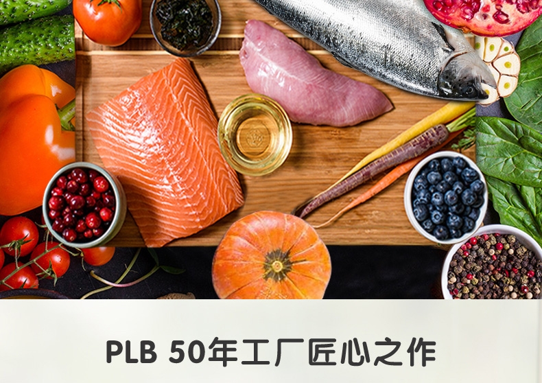 益之选1st Choice 健康成长配方幼猫粮 2.72kg 加拿大进口