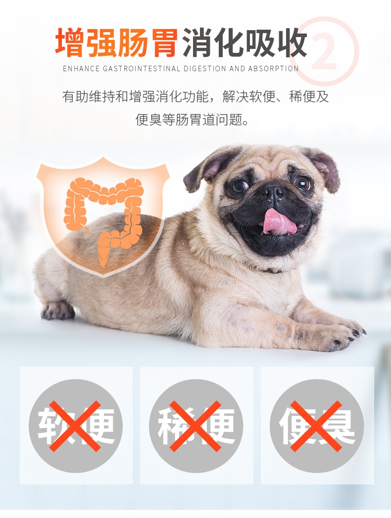 红狗RedDog 全年龄段犬用酵素益生菌 80g 增进食欲调理肠胃