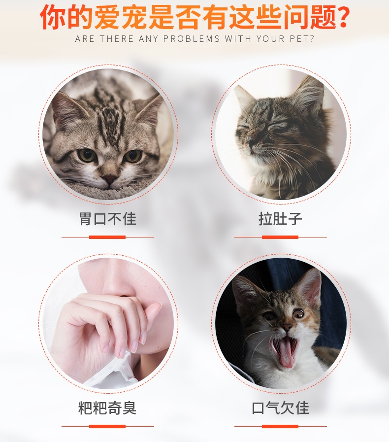 红狗RedDog 猫用酵素益生菌 80g 增进食欲肠道调节