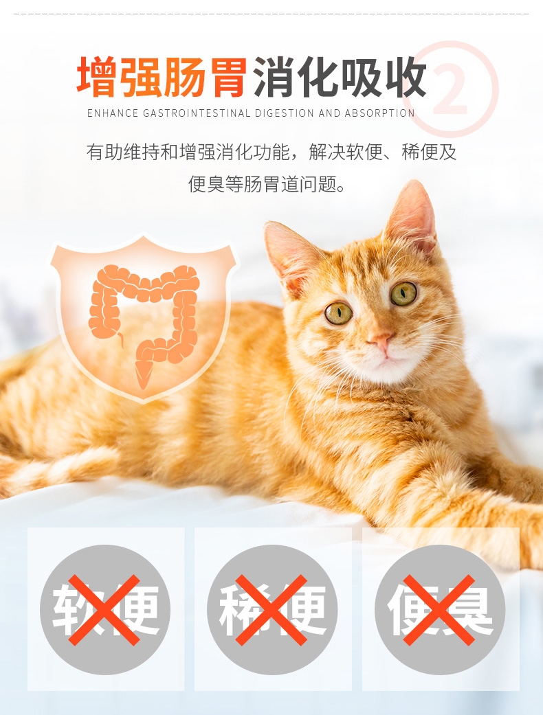 红狗RedDog 猫用酵素益生菌 80g 增进食欲肠道调节