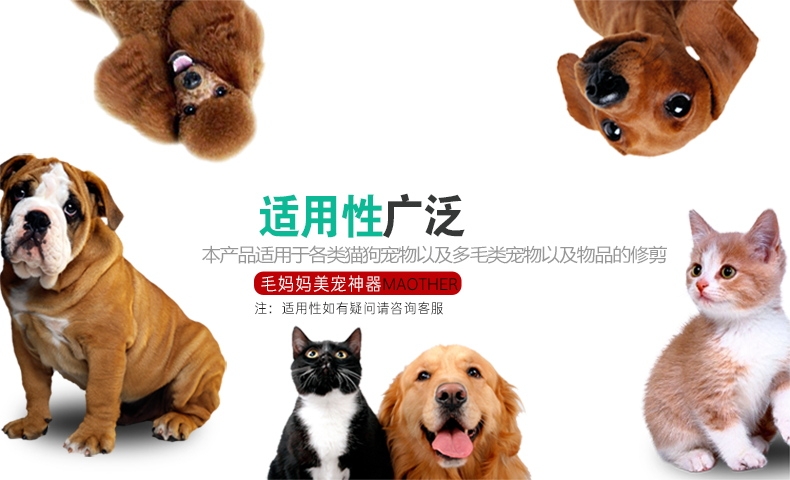 毛妈妈 美宠器