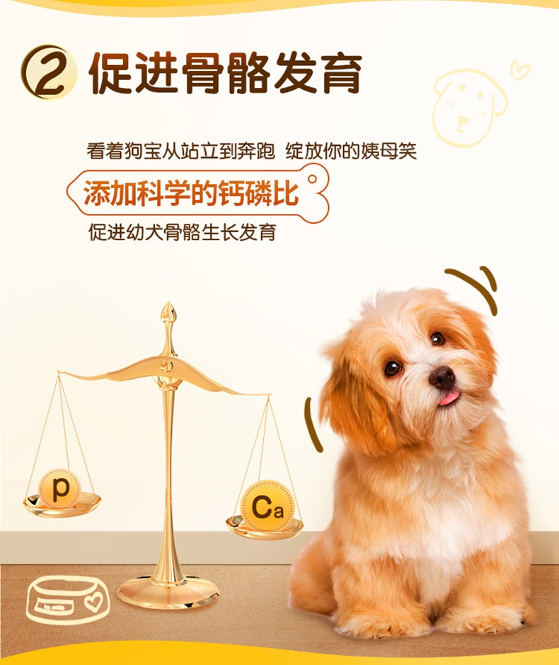 宝路Pedigree 牛肉口味小型犬幼犬粮用 1.2kg