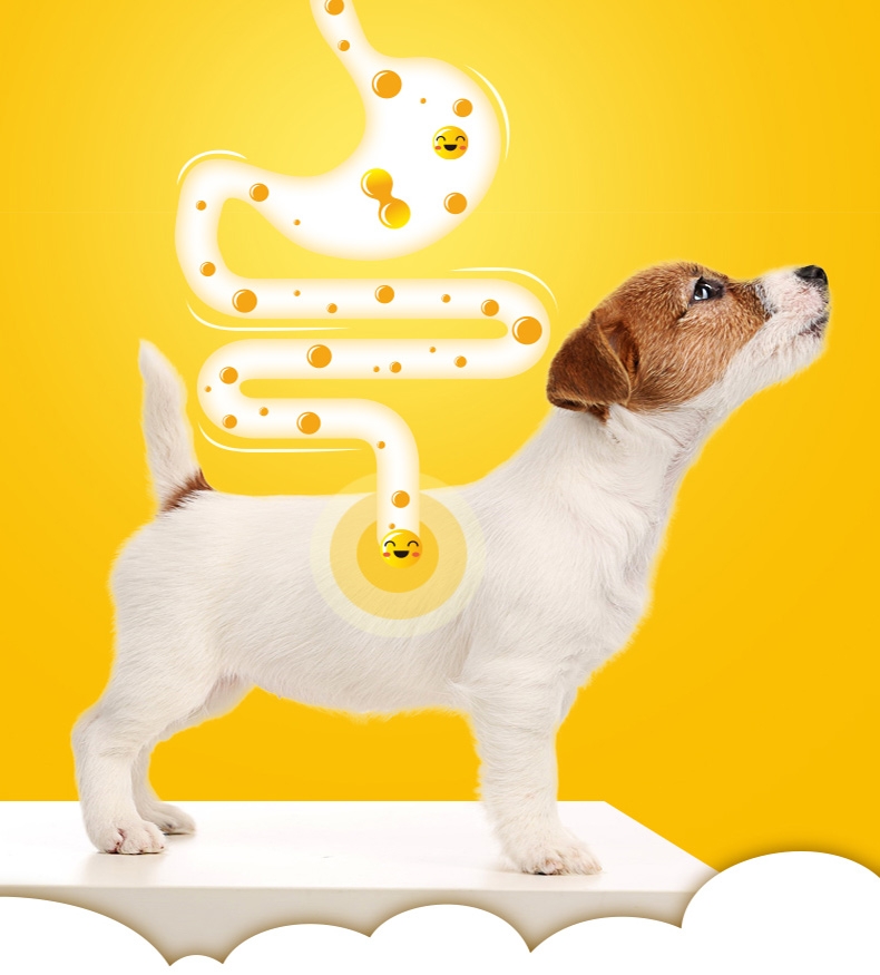 宝路Pedigree 牛肉口味小型犬幼犬粮 4kg