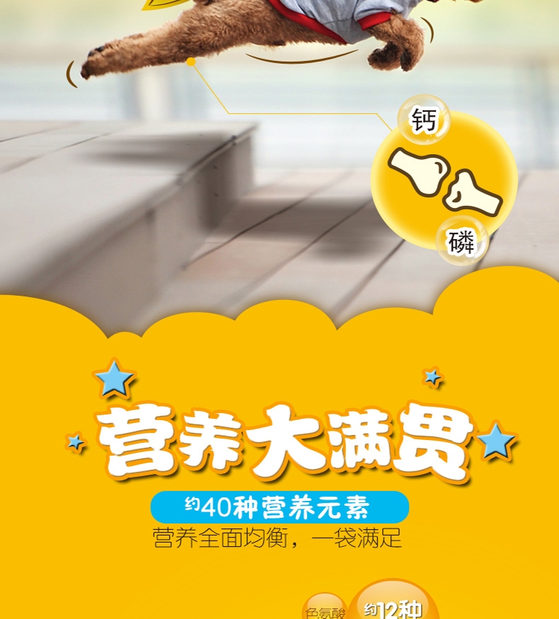 宝路Pedigree 牛肉口味小型犬幼犬粮 4kg