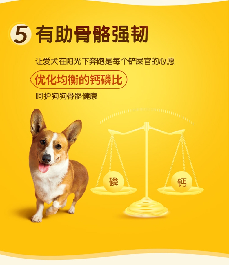 宝路 牛肉味小型犬大龄犬粮 1.5kg 酥脆夹心 双重味蕾体验