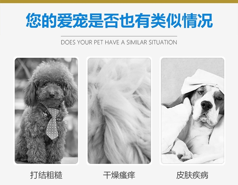 绝魅 全猫专用美毛香波 500ML 玫瑰香
