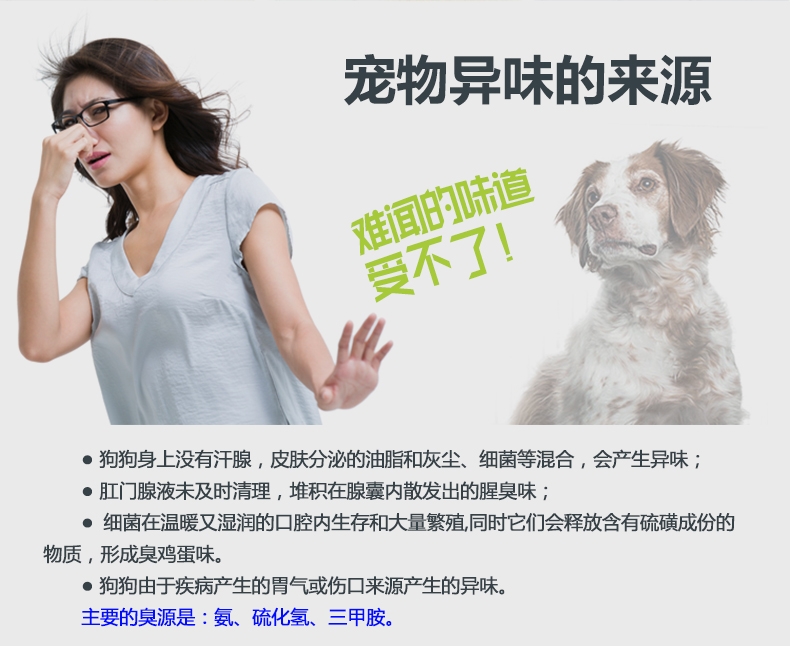 绝魅 宠物祛味消毒液 犬用 桂花香 473ml