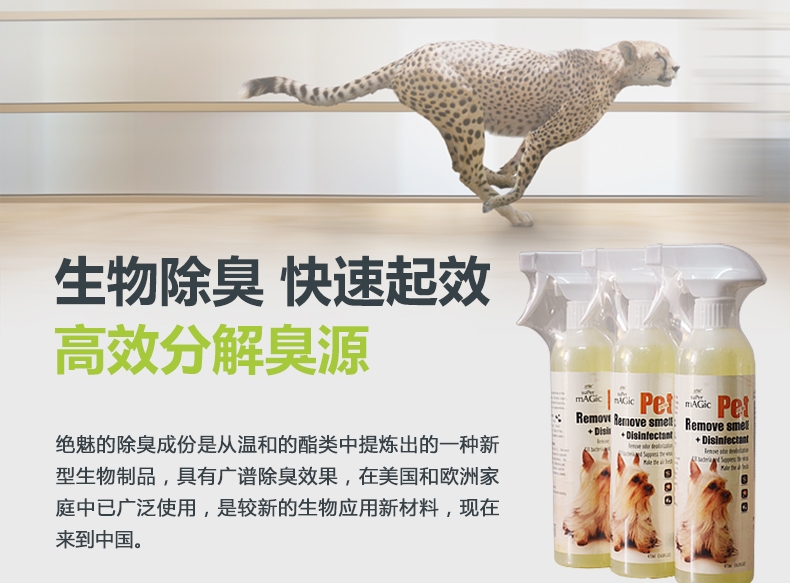 绝魅 宠物祛味消毒液 犬用 桂花香 473ml