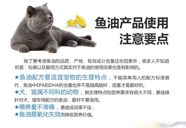 绝魅 猫用鱼油美毛护肤 瓶装60粒