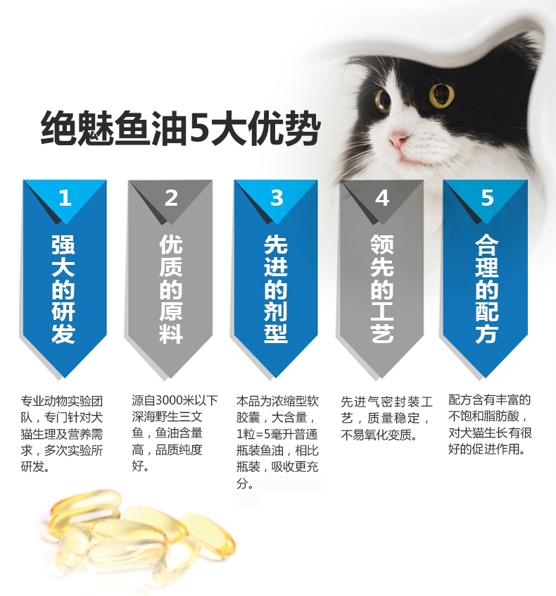 绝魅 猫用鱼油美毛护肤 瓶装60粒