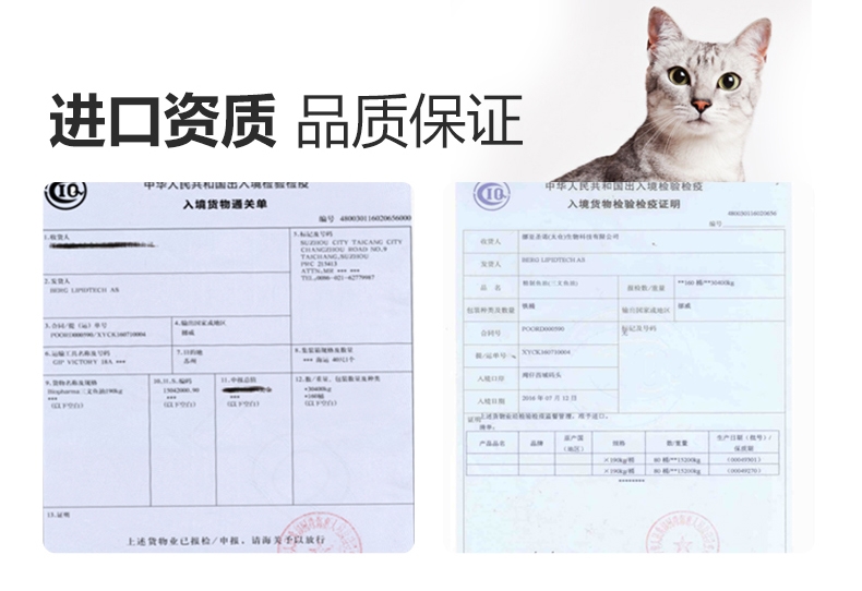 绝魅 猫用鱼油美毛护肤 瓶装60粒