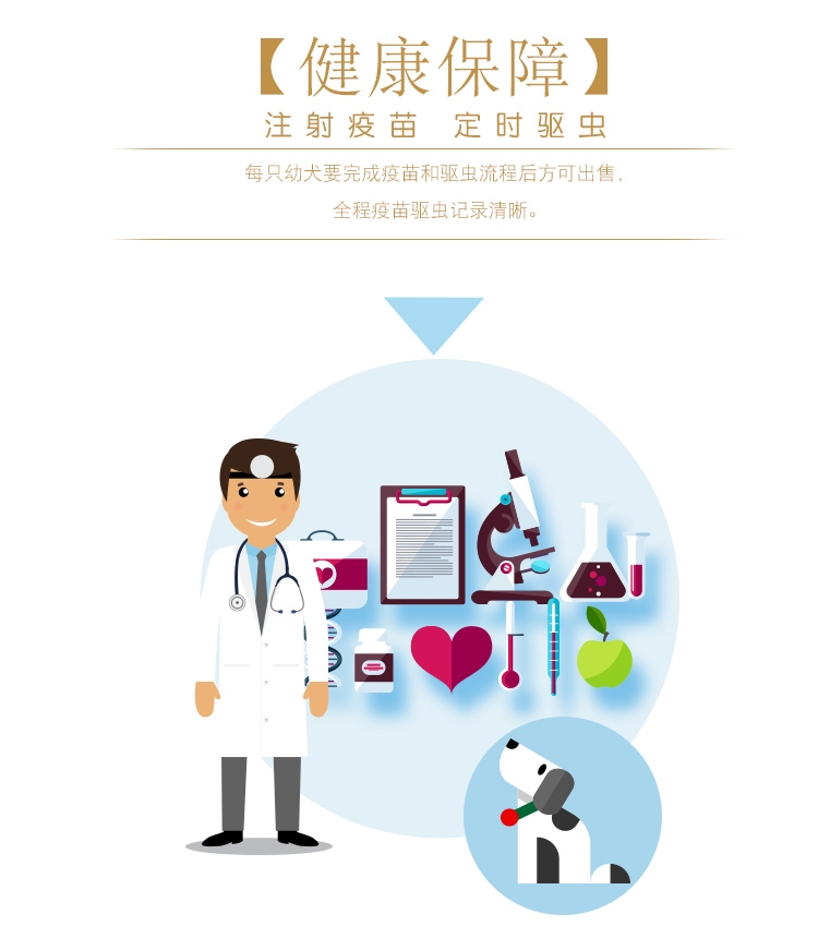 永升黑色拉布拉多双血统活体 宠物狗狗