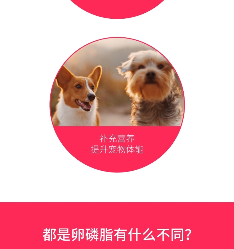 盖夫 狗用卵磷脂300g 蛋黄卵磷脂含量73% 护肤美毛