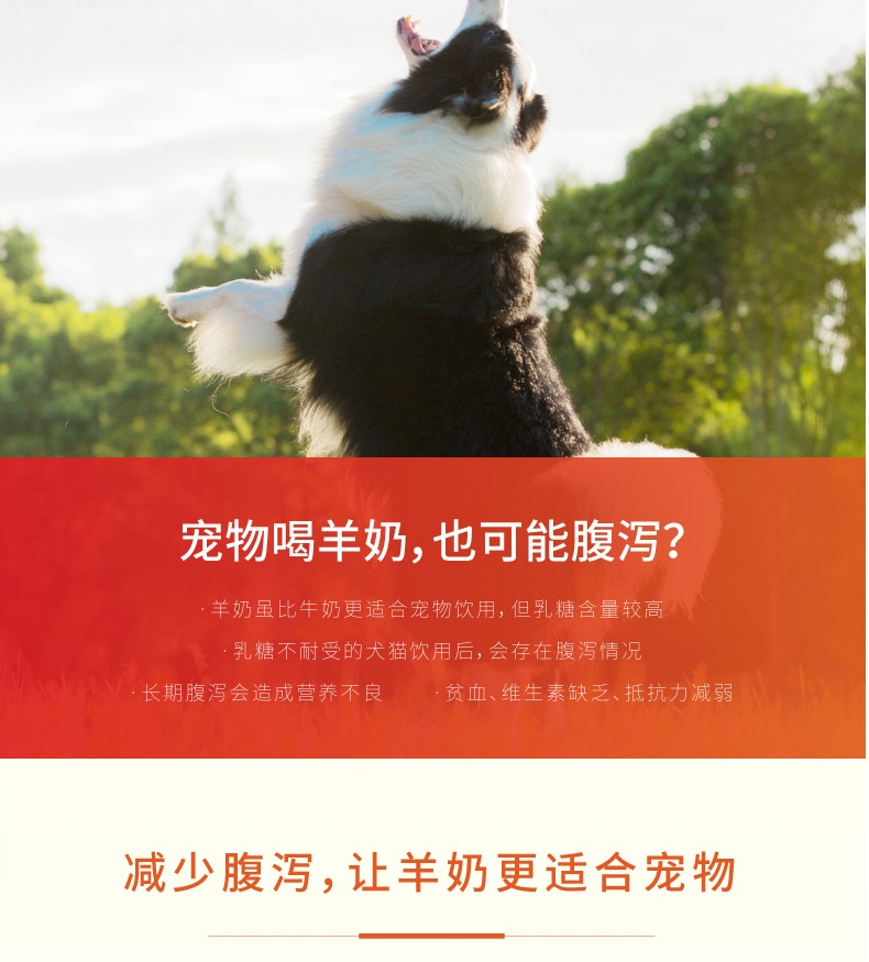 盖夫 狗用双歧因子配方羊奶粉210g 减少腹泻