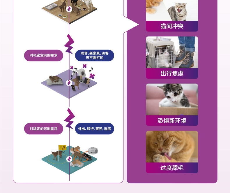 法国费利威Feliway 朋友30天补充液 48ml 舒缓情绪 无处不在