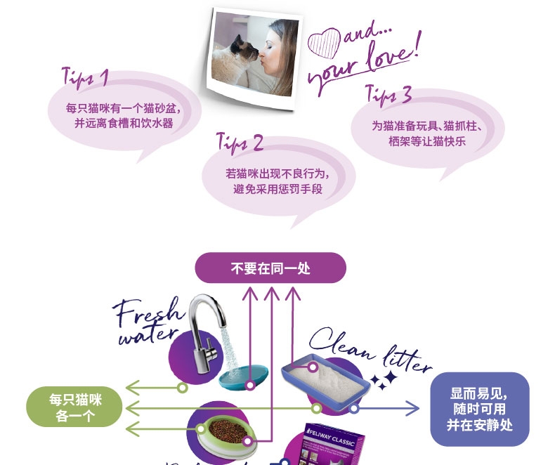 法国费利威Feliway 朋友30天补充液 48ml 舒缓情绪 无处不在