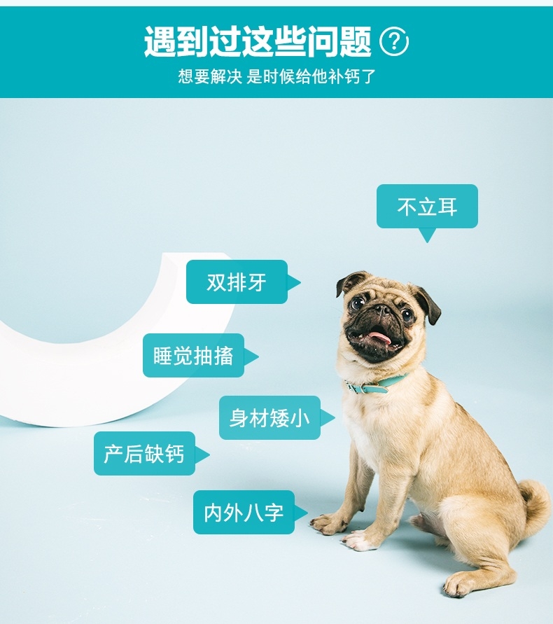卫仕 犬用 乳钙片 160片