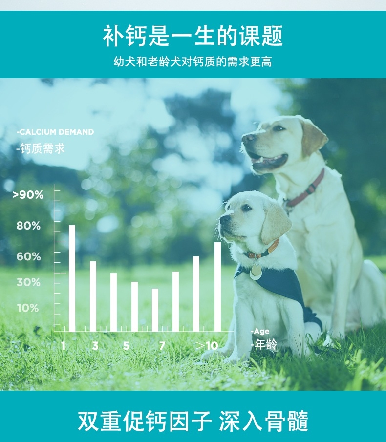 卫仕 犬用 乳钙片 160片
