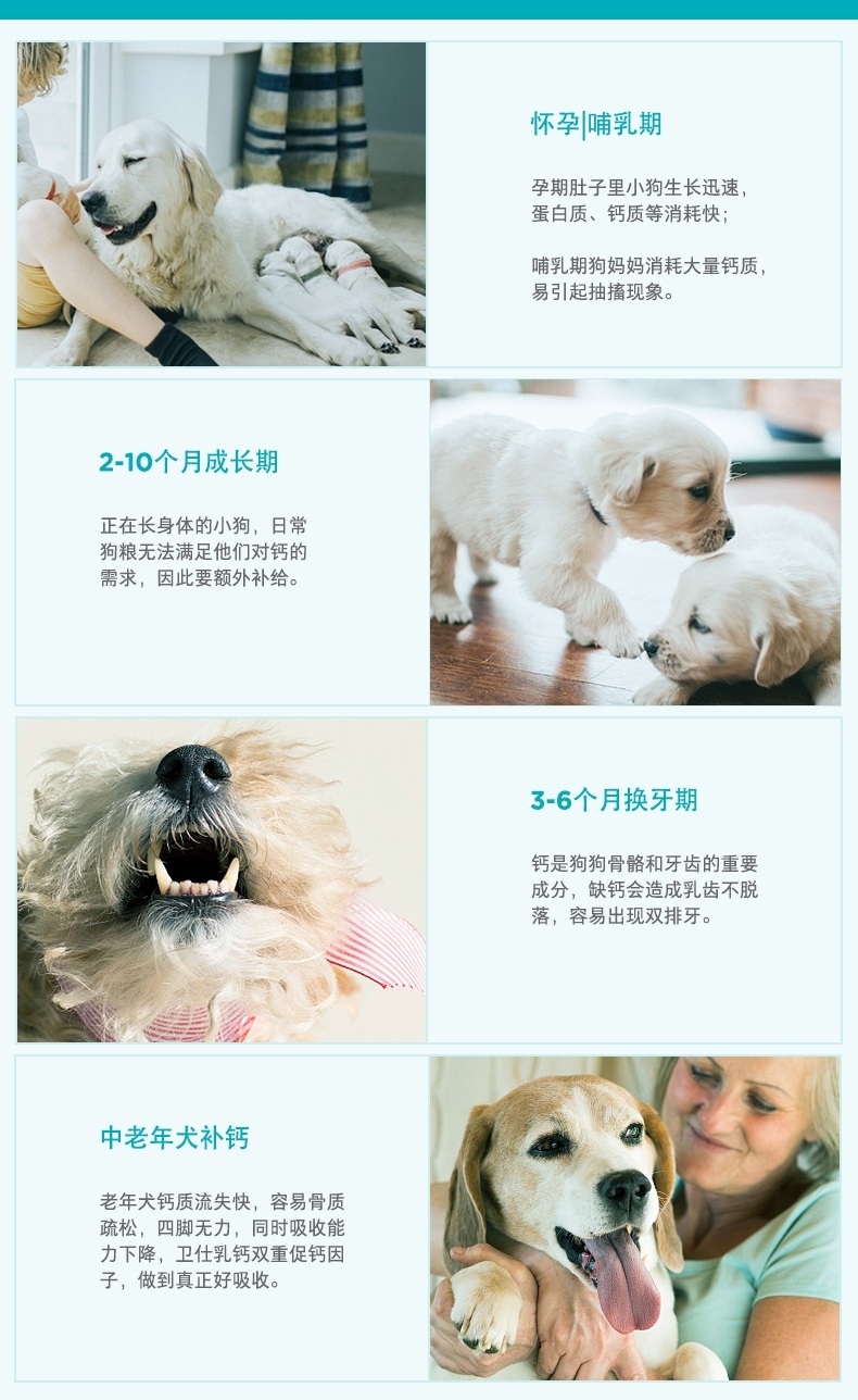 卫仕 犬用 乳钙片 160片