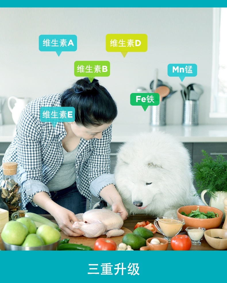 卫仕 速补营养膏 犬猫通用120g