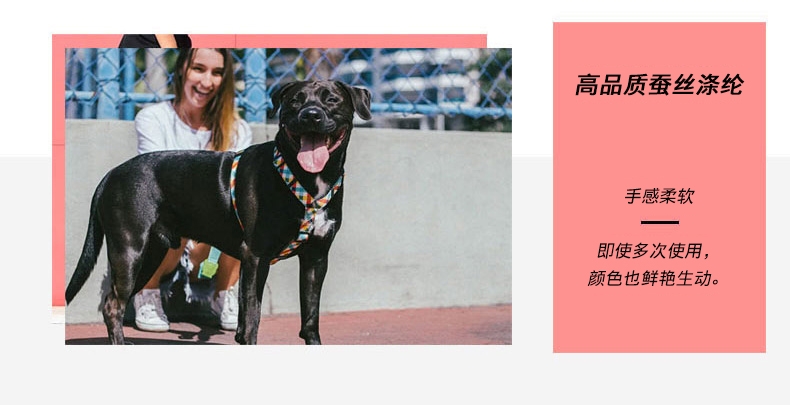 美国zeedog 多色炫彩H型狗狗胸背带 欧美潮牌