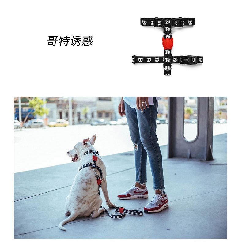 美国zeedog 多色炫彩H型狗狗胸背带 欧美潮牌