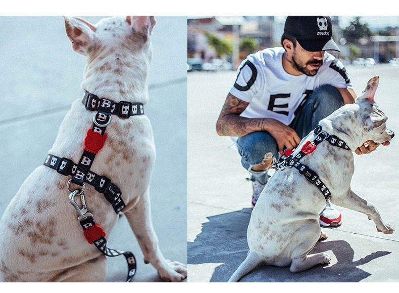 美国zeedog 多色炫彩H型狗狗胸背带 欧美潮牌