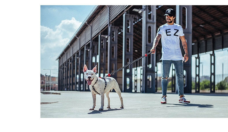 美国zeedog 多色炫彩H型狗狗胸背带 欧美潮牌