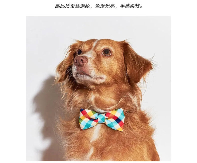 美国zeedog 多色炫彩宠物领结 欧美潮牌