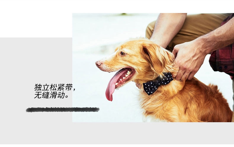 美国zeedog 多色炫彩宠物领结 欧美潮牌