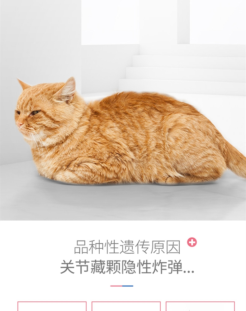 麦德氏 In-kat 猫用绿贻贝关节安 150g 呵护关节