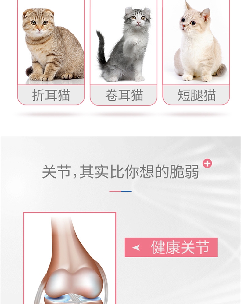 麦德氏 In-kat 猫用绿贻贝关节安 150g 呵护关节