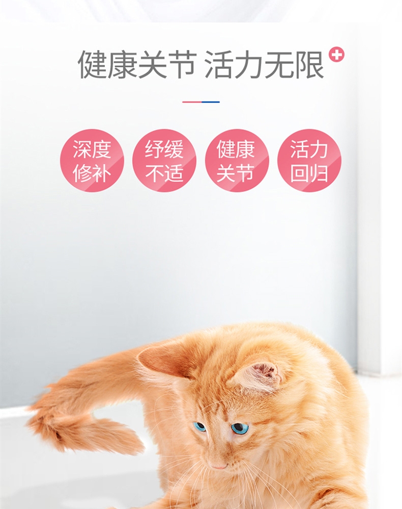 麦德氏 In-kat 猫用绿贻贝关节安 150g 呵护关节