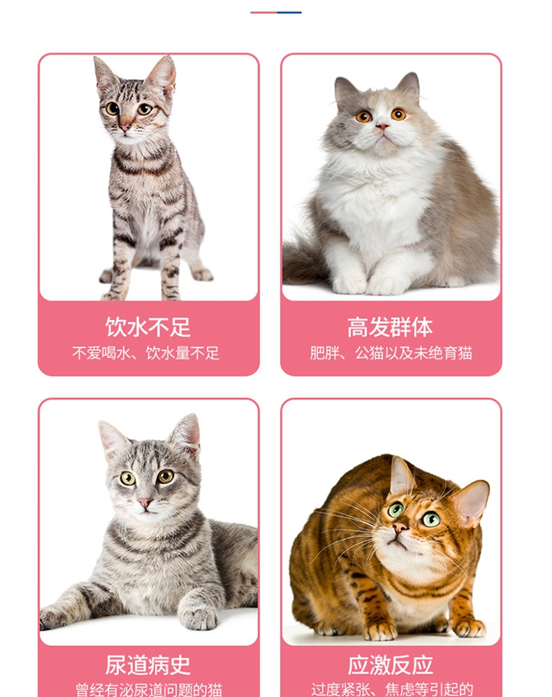 麦德氏 In-kat 猫用蔓越莓泌尿安 15g 呵护泌尿系统