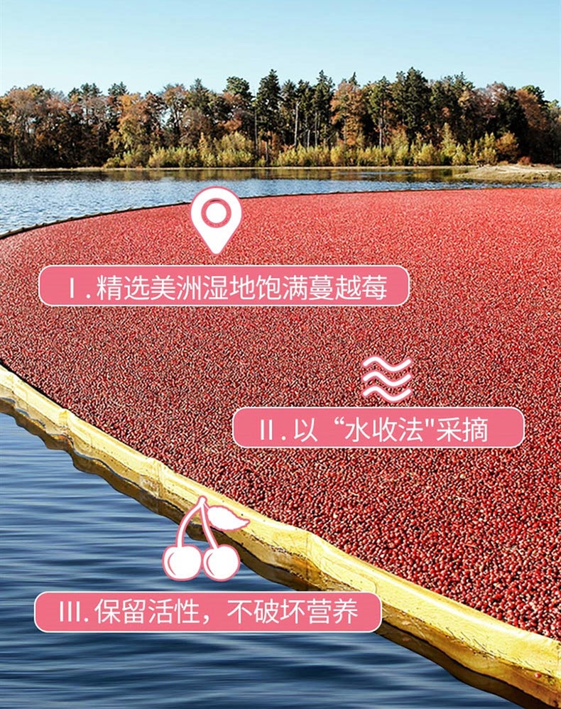 麦德氏 In-kat 猫用蔓越莓泌尿安 15g 呵护泌尿系统