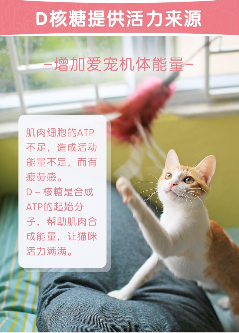 麦德氏 In-kat 猫用高钙营养膏 120g 补充能量