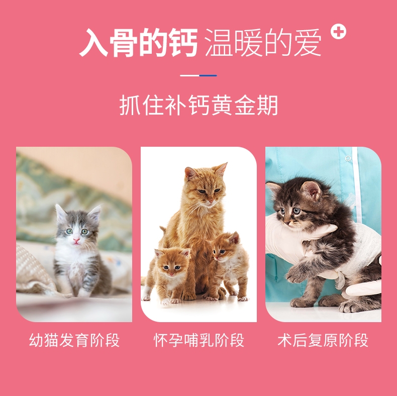 麦德氏 In-kat 猫用高钙营养膏 120g 补充能量
