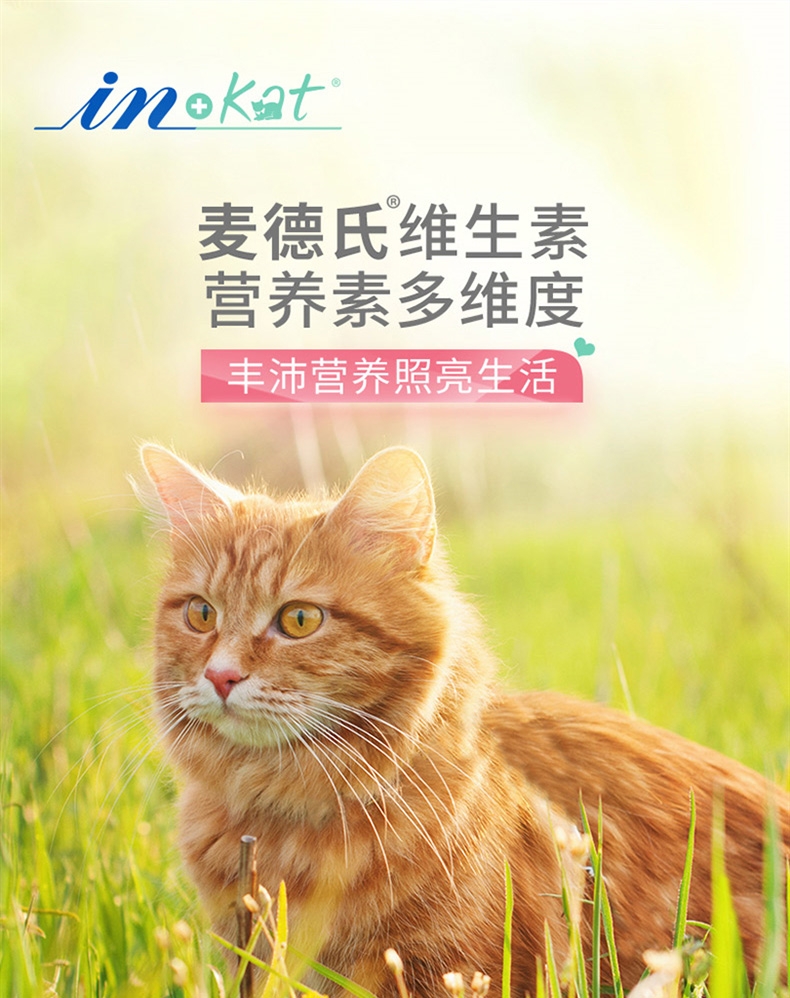麦德氏 In-kat 猫用维生素营养片 60g 添加叶酸