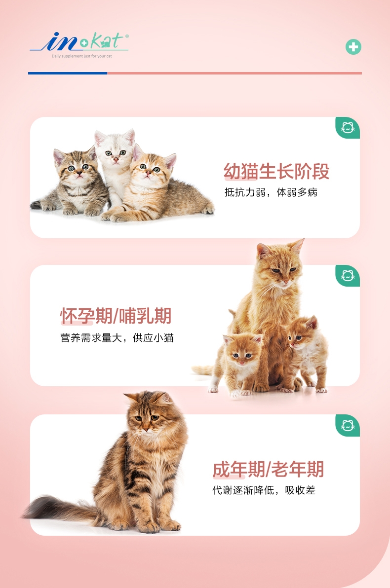 麦德氏 In-kat 猫用维生素营养片 60g 120片 添加叶酸